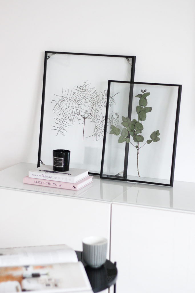 Diy Floating Frame Herbarium So Bastelt Ihr Den Schwebenden Rahmen