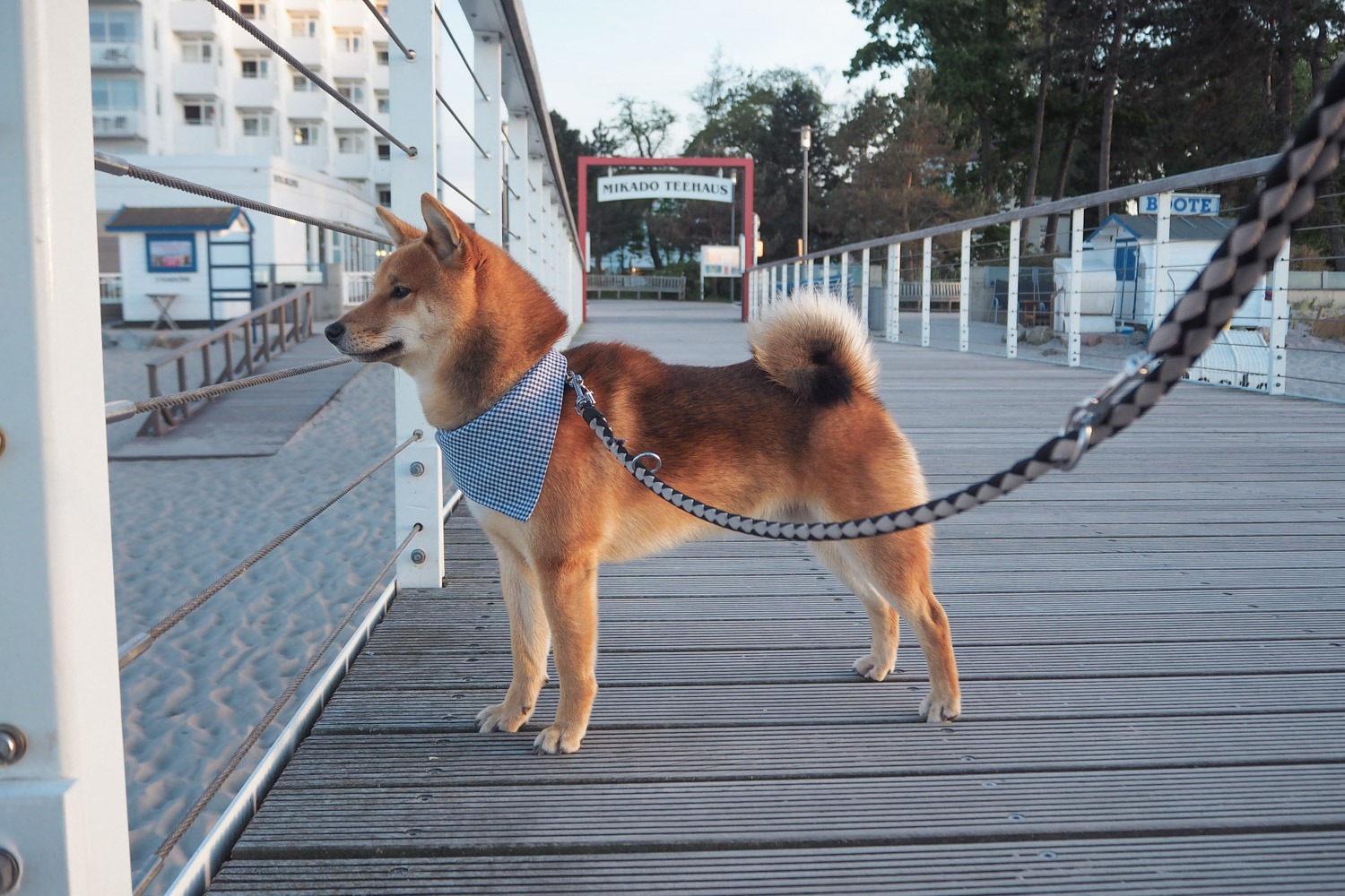 Ostsee mit Hund: Stylisch & Entspannend